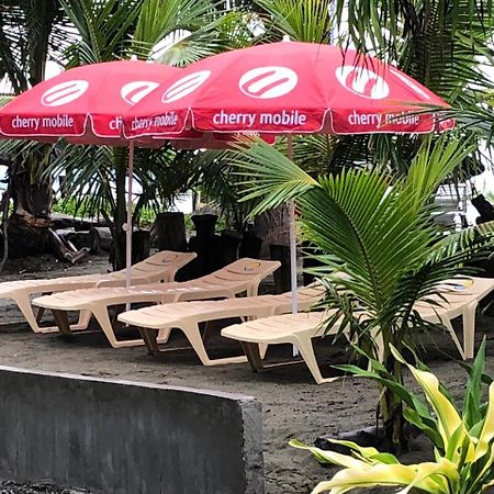 فندق باليرفي  North Shore Surf Camp المظهر الخارجي الصورة