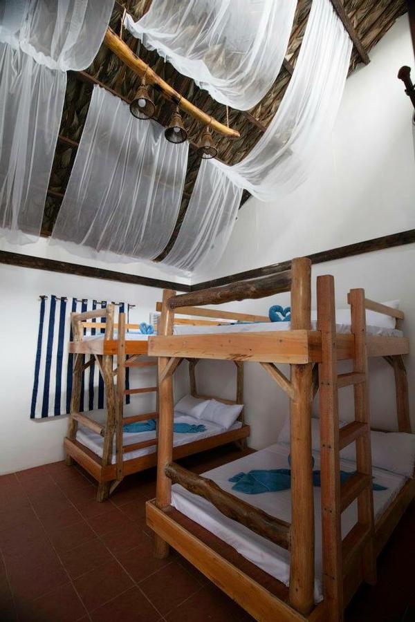 فندق باليرفي  North Shore Surf Camp المظهر الخارجي الصورة