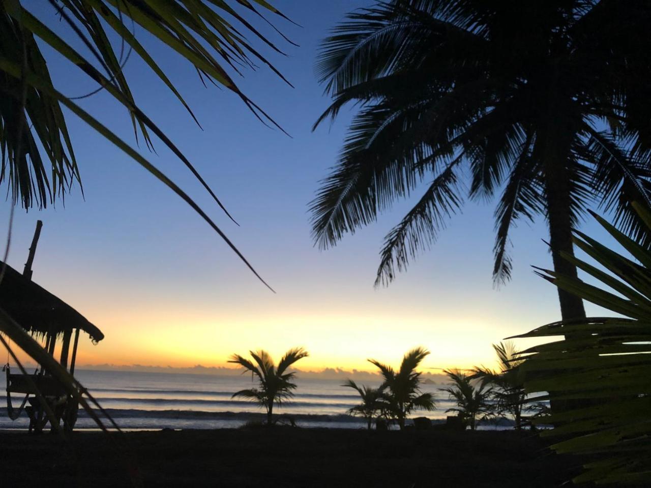 فندق باليرفي  North Shore Surf Camp المظهر الخارجي الصورة