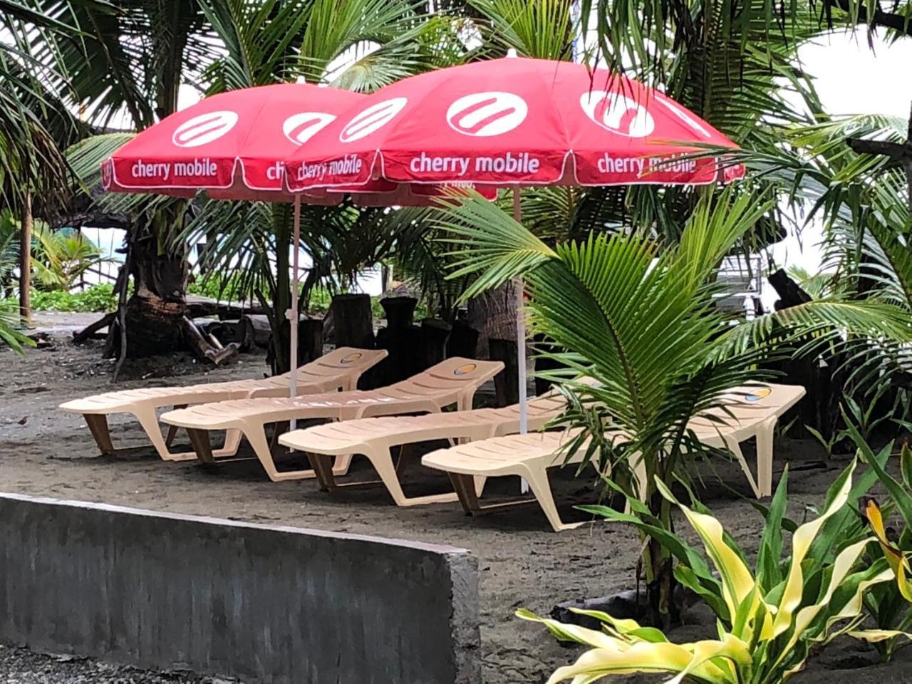 فندق باليرفي  North Shore Surf Camp المظهر الخارجي الصورة